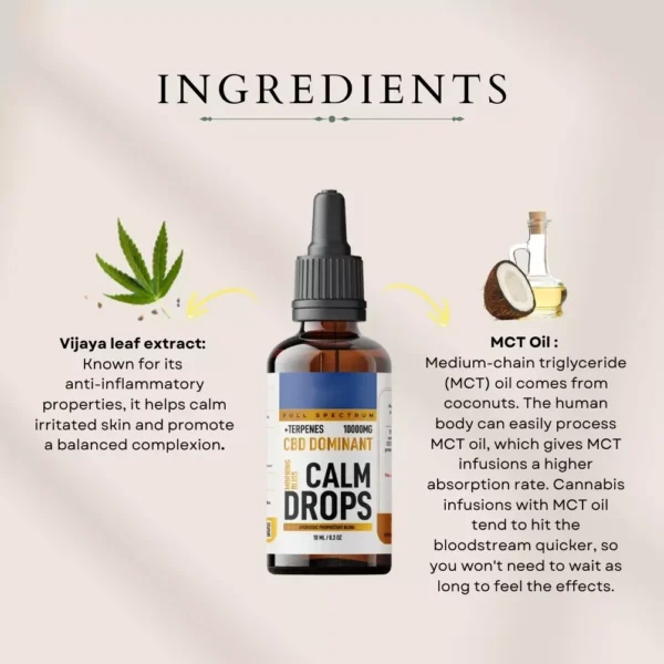 Calm Drops – Morning Bliss - Image 2